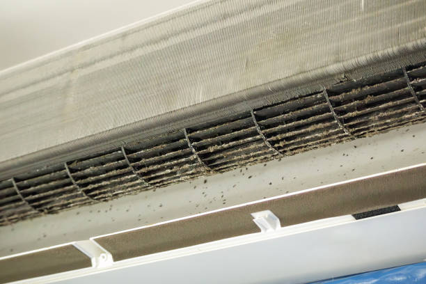 Best HVAC Air Duct Cleaning  in Hughestown, PA